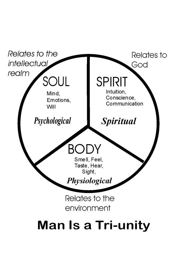 the three parts of the soul